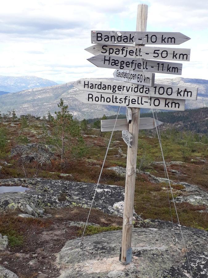 Ferienhaus Fjellblikken Villa Sinnes Buitenkant foto